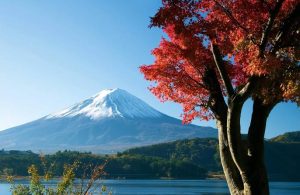 Mali Fuji në Japoni me peizazh vjeshte dhe pemë me gjethe të kuqe